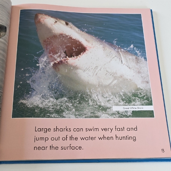 Children's Shark and Pirate Book Set Bundle - Picture 3 of 16